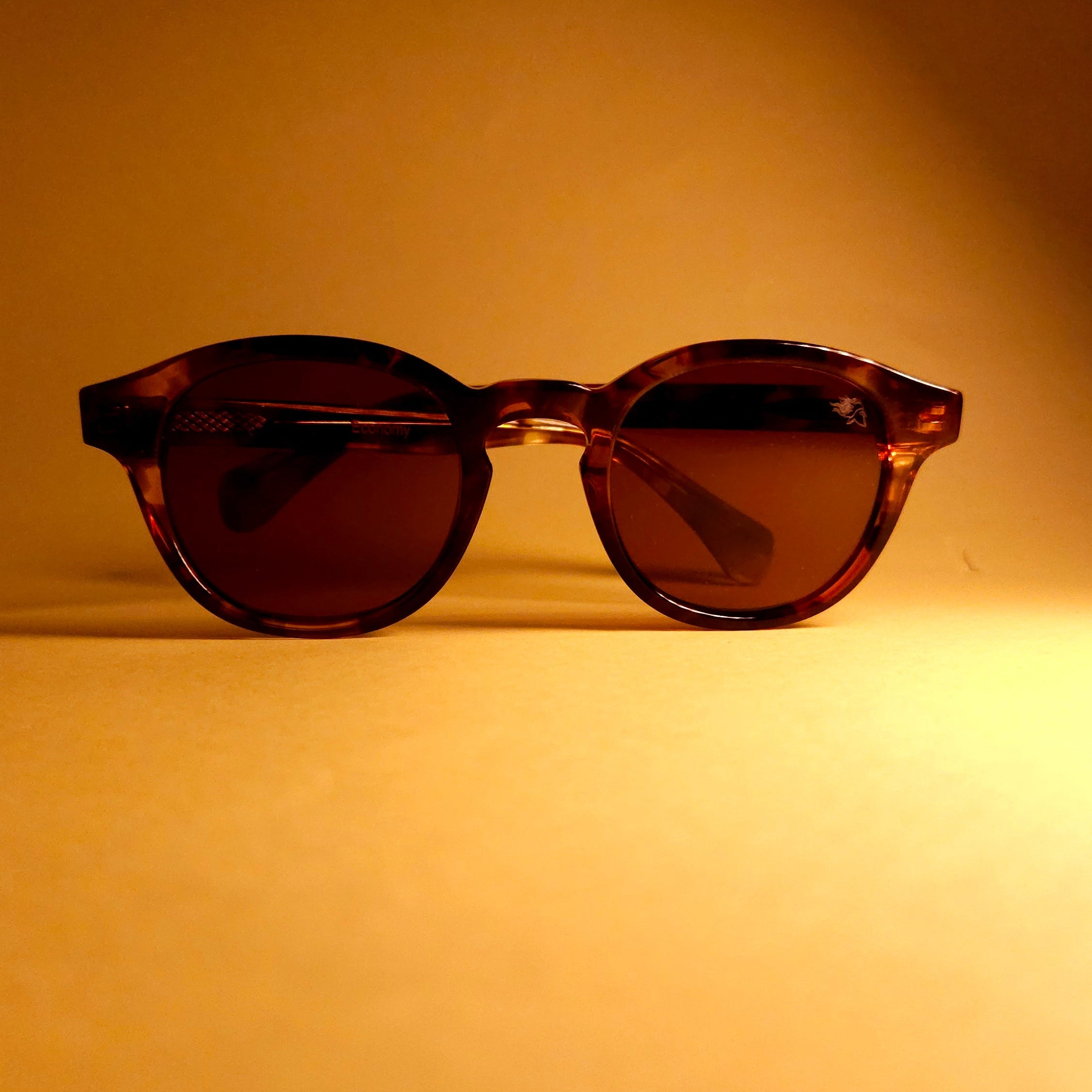 OLIWER MARTINO ECONOMY