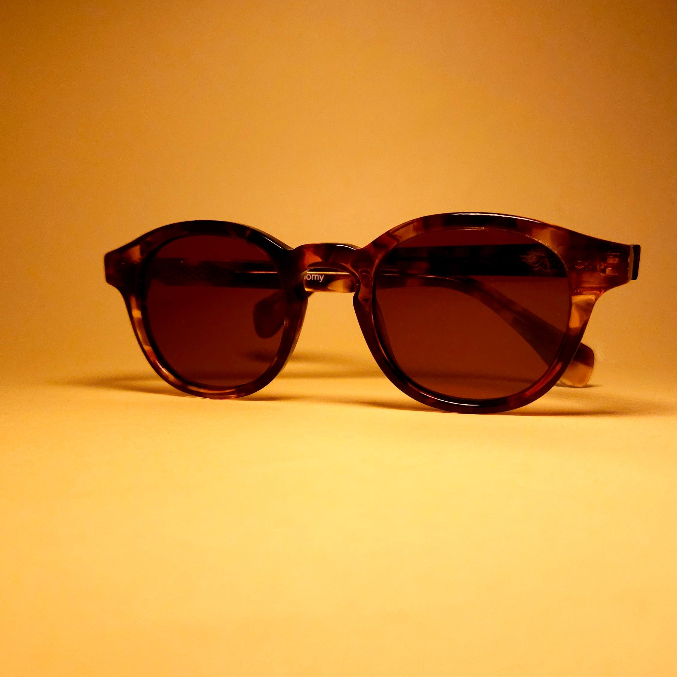 OLIWER MARTINO ECONOMY