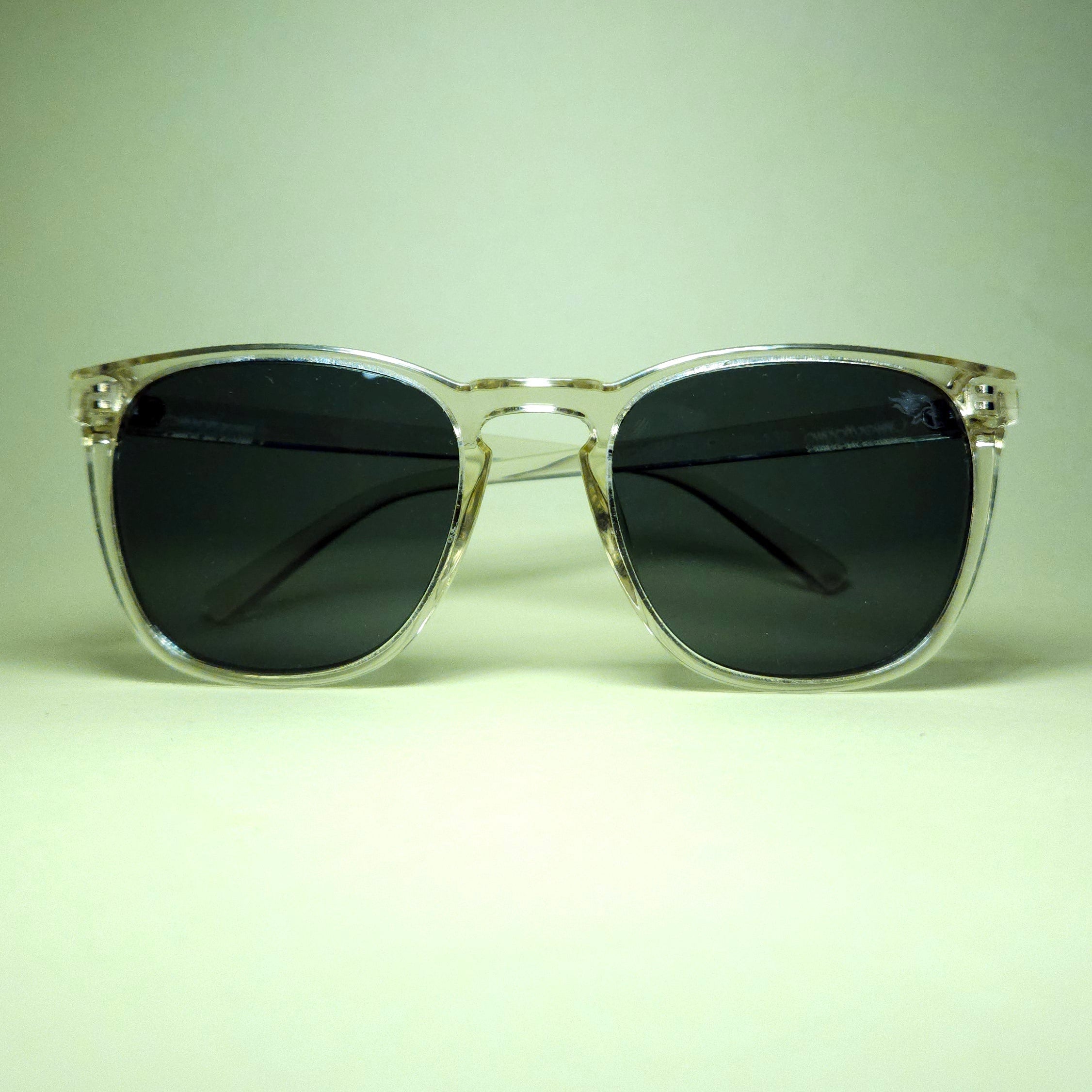 OLIWER MARTINO ECONOMY